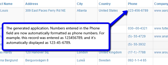 The phone number format automatically applied to data in a field