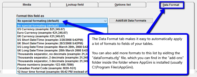 Field data formats in AppGini